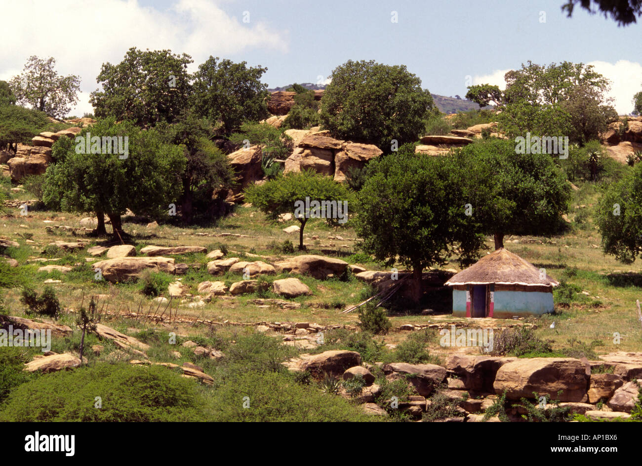 House. Zululand Kwa Zulu Natal South Africa Stock Photo 8938981 Alamy