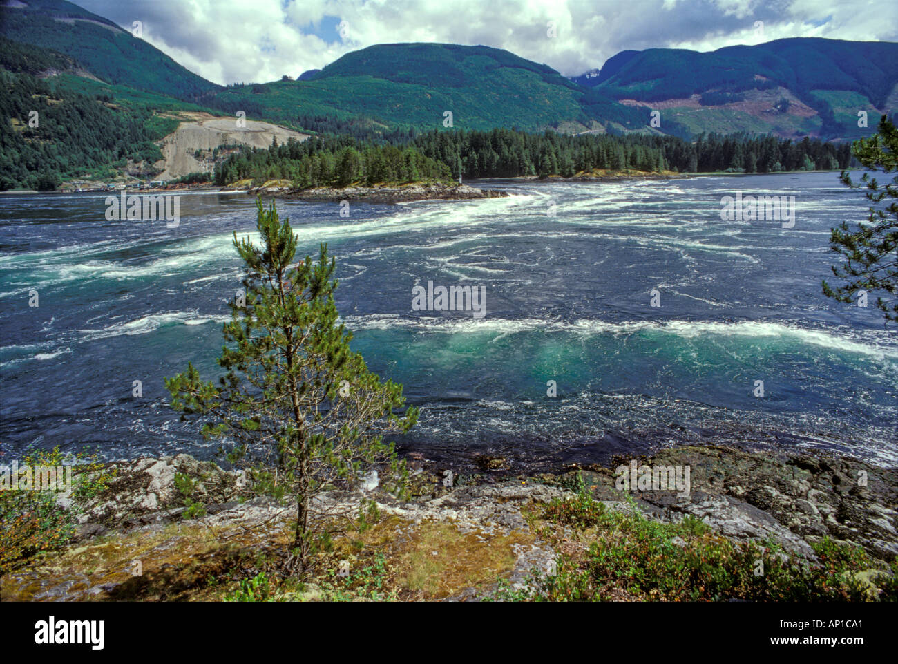 Salt water tidal rapids at Skookumchuck Narrows Provincial Park Stock Photo