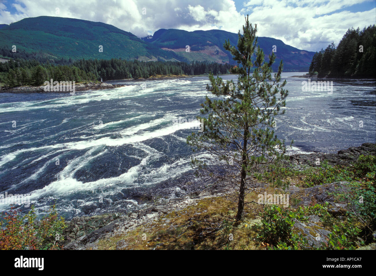 Skookumchuck Rapids Tide Chart 2018