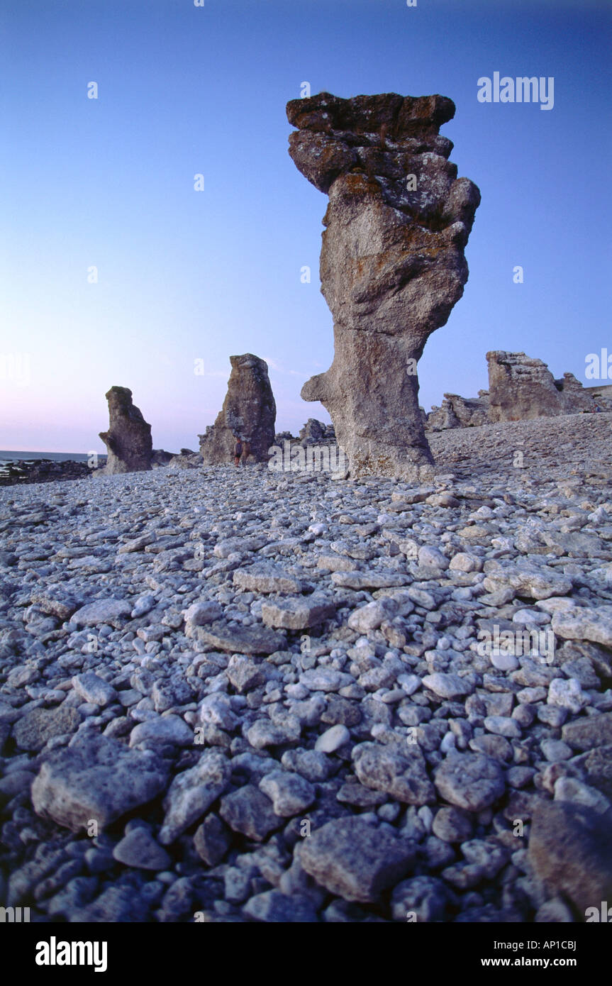 Chalk stone formation, Beach, Langhammars Raukar, Faroe Island, Gotland, Sweden Stock Photo