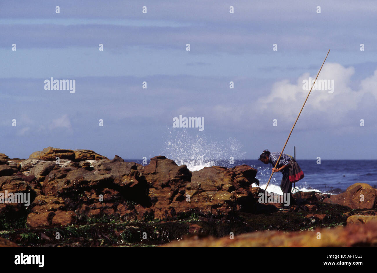 A woman is fishing fish catching catch octopus in the water of Atlantic ...