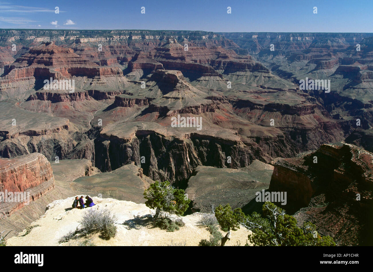 At Powell Point, West Rim Drive, South Rim, Grand Canyon Nat.Park, Arizona, USA Stock Photo