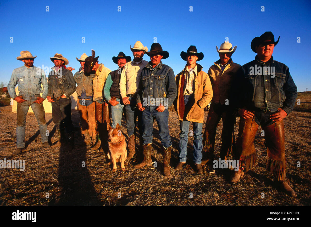 Cowboys Camp, LX Ranch, Panhandle, Texas, USA Stock Photo 15643477 Alamy