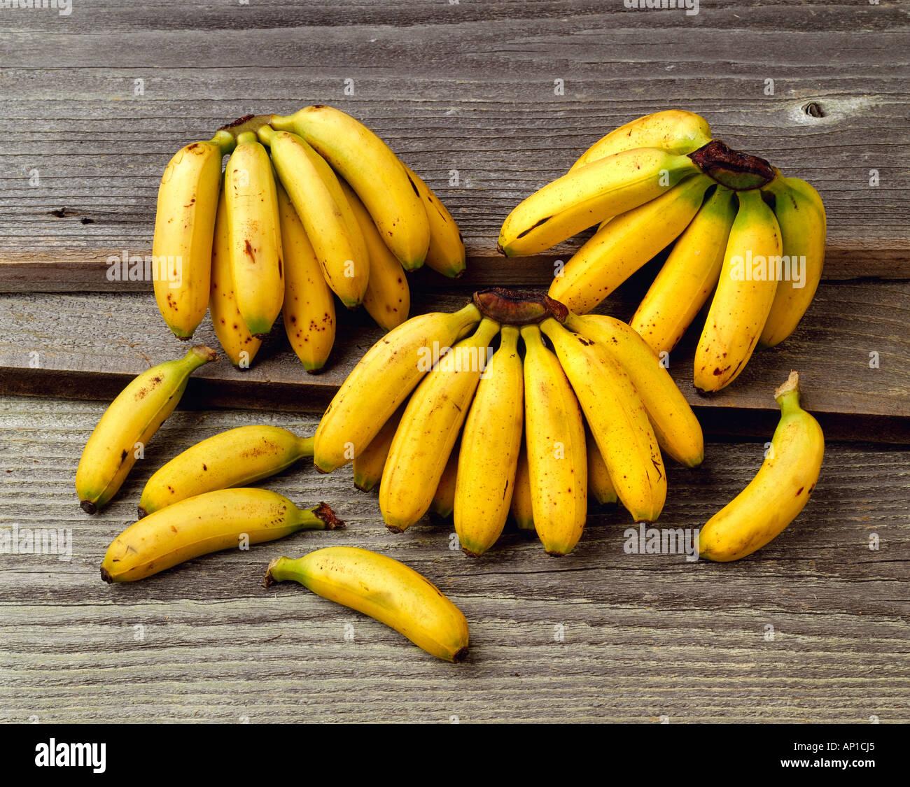 Agriculture - Baby bananas on a barnwood surface, in studio. Stock Photo