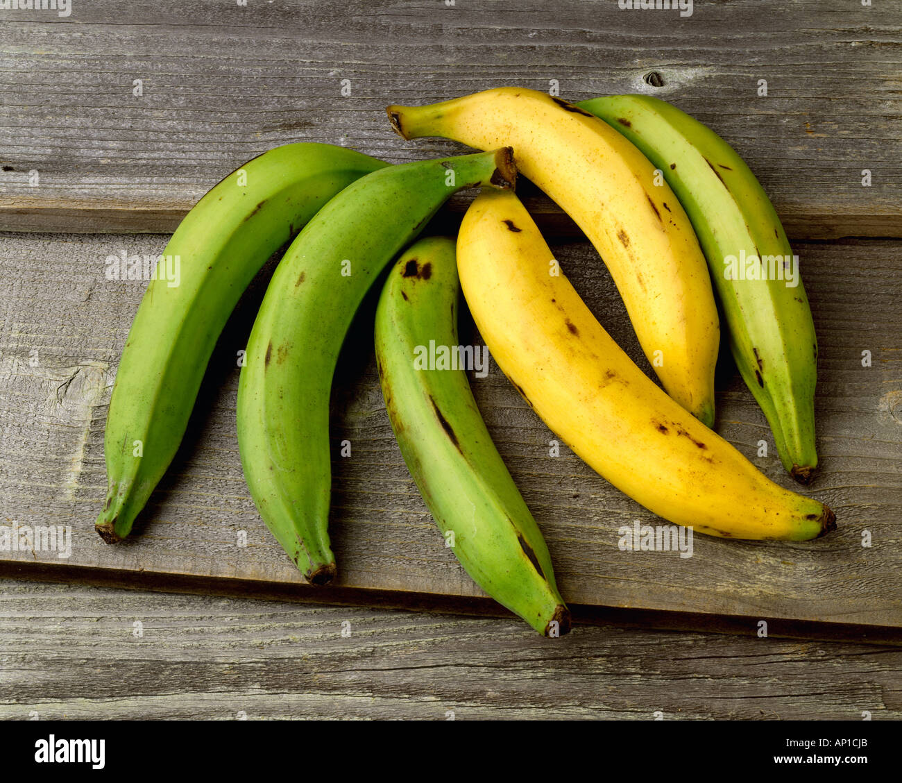 A bunch of plantains hires stock photography and images Alamy