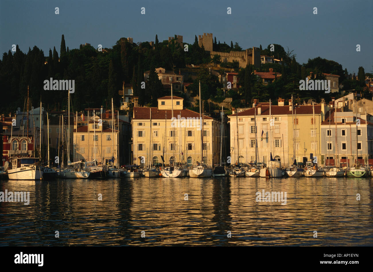 View of Piran harbour in the evening light with reflection, Piran, Slovenia Stock Photo