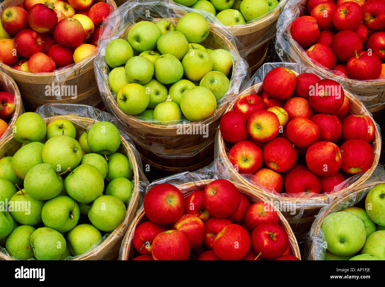 Agriculture Ripe Gala and Granny Smith apples in barrels at a farmer