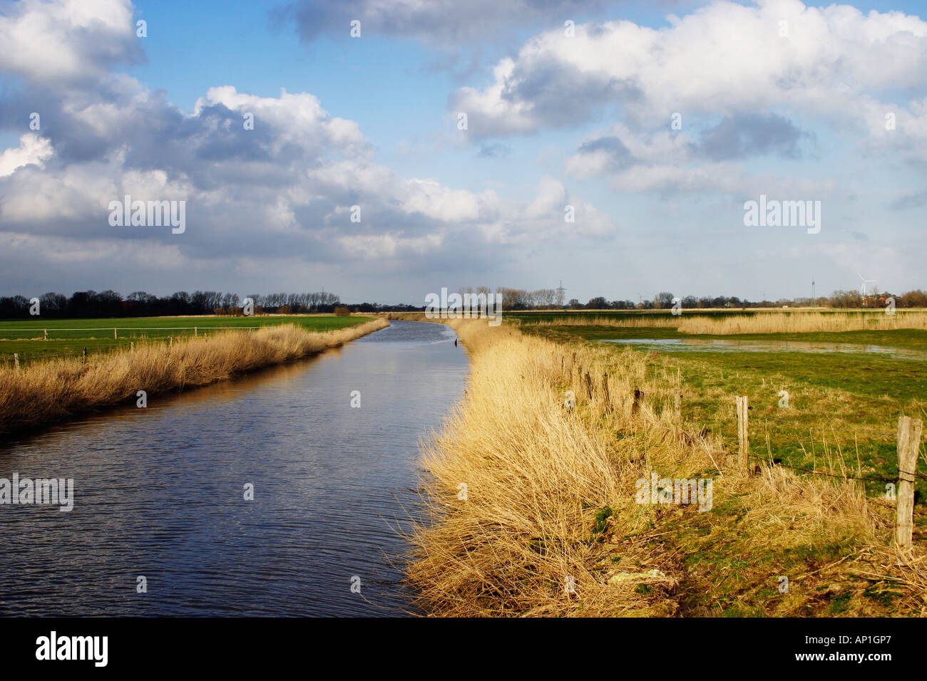 Typical landscape in Friesland, lower-saxony, germany Stock Photo