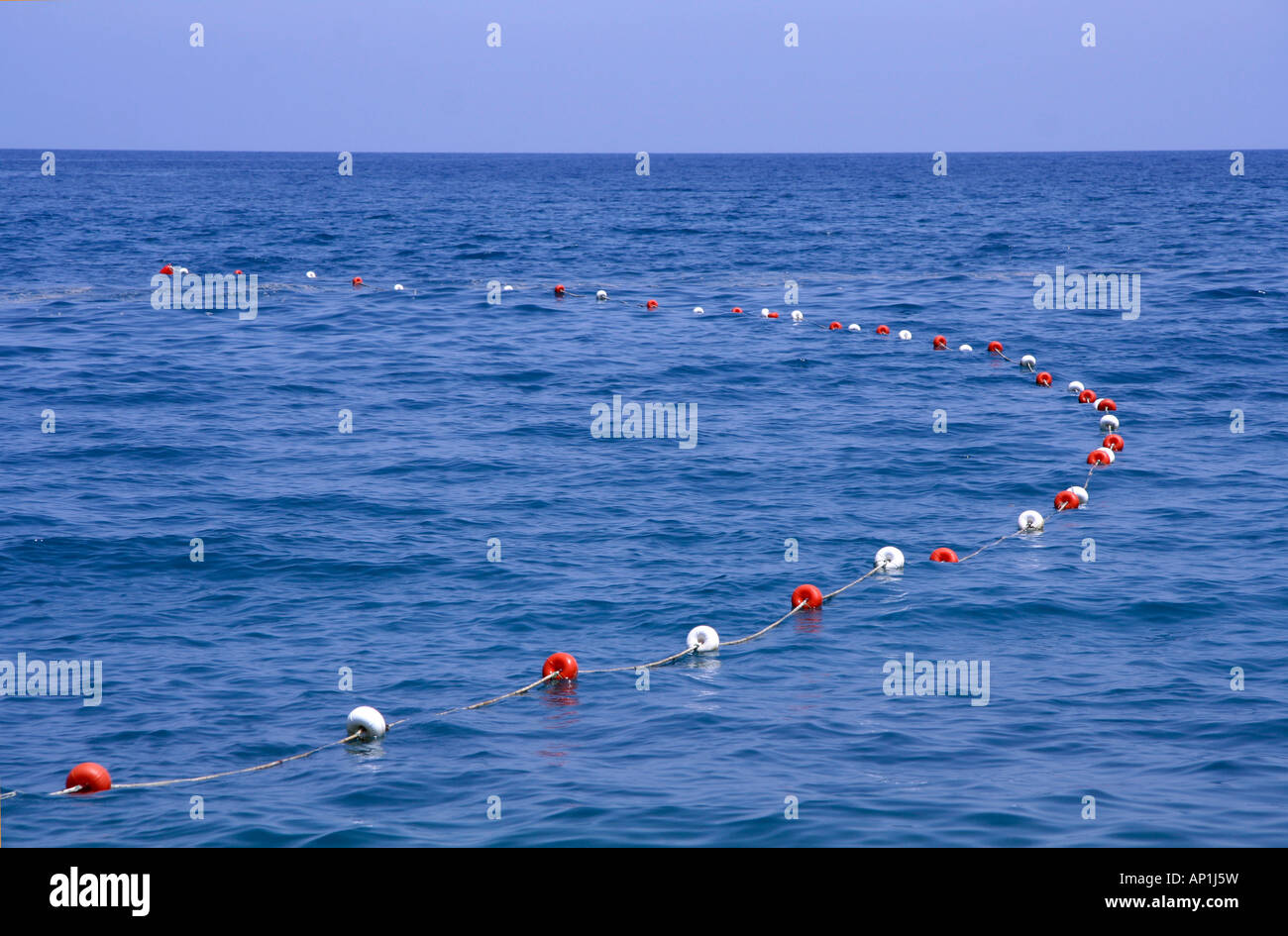red and white fishing line floaters in sea Stock Photo - Alamy