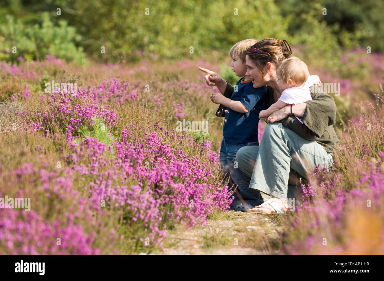 Mother and kids on heath in summer Norfolk UK Stock Photo