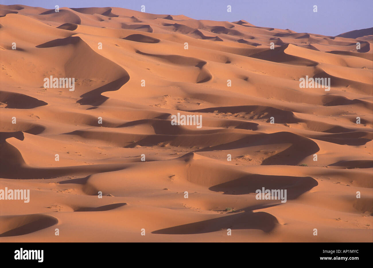 Sahara desert Sand dunes of Erg Chebbi near Merzouga south of Erfoud ...