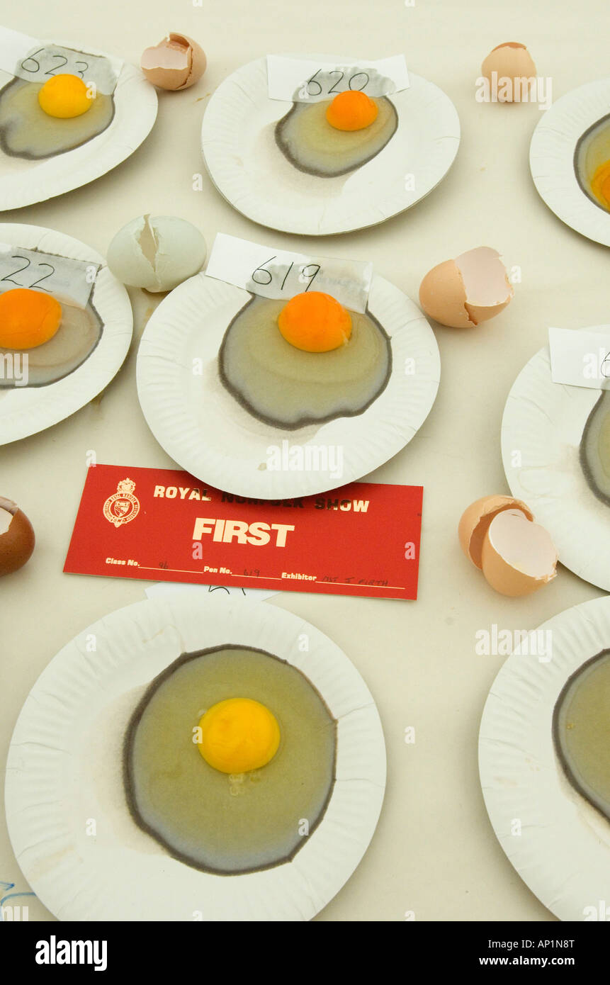 First place in chicken egg competition at Royal Norfolk Show Stock Photo