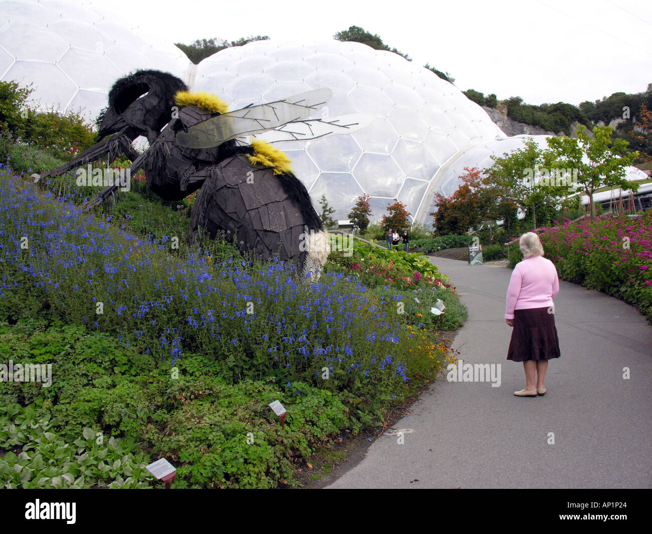 THE EDEN PROJECT BODELVA CORNWALL  ENGLAND UK EUROPE Stock Photo