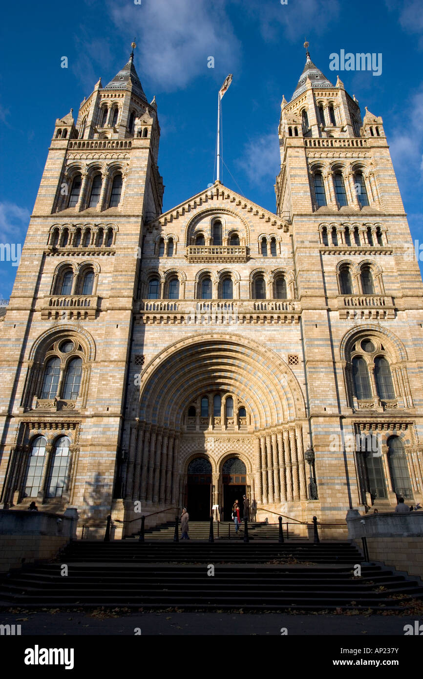 National History Museum London England UK Stock Photo - Alamy