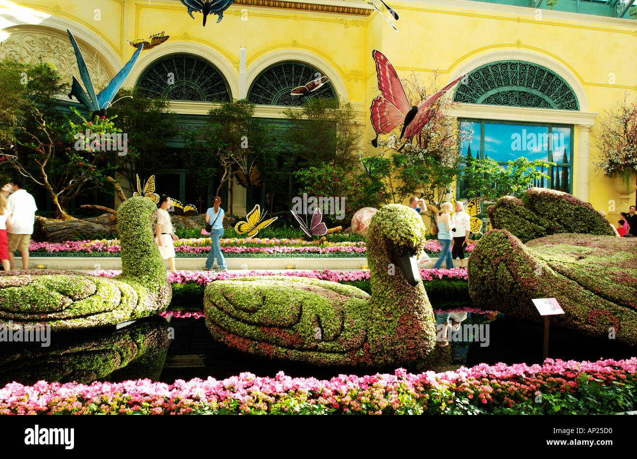 Conservatory And Botanical Gardens Inside Bellagio Hotel Las Vegas