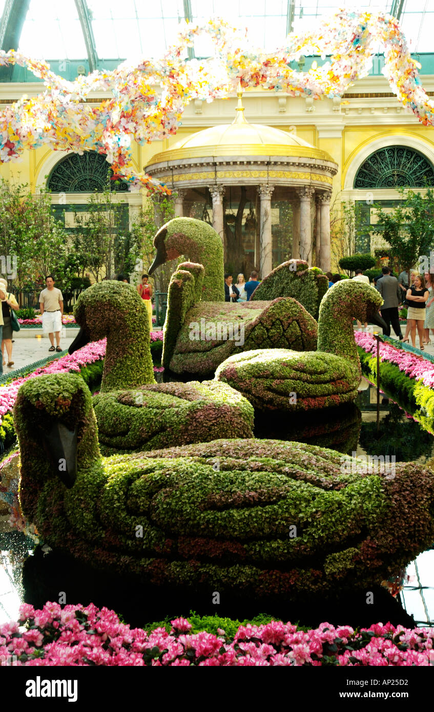 Conservatory And Botanical Gardens Inside Bellagio Hotel Las Vegas
