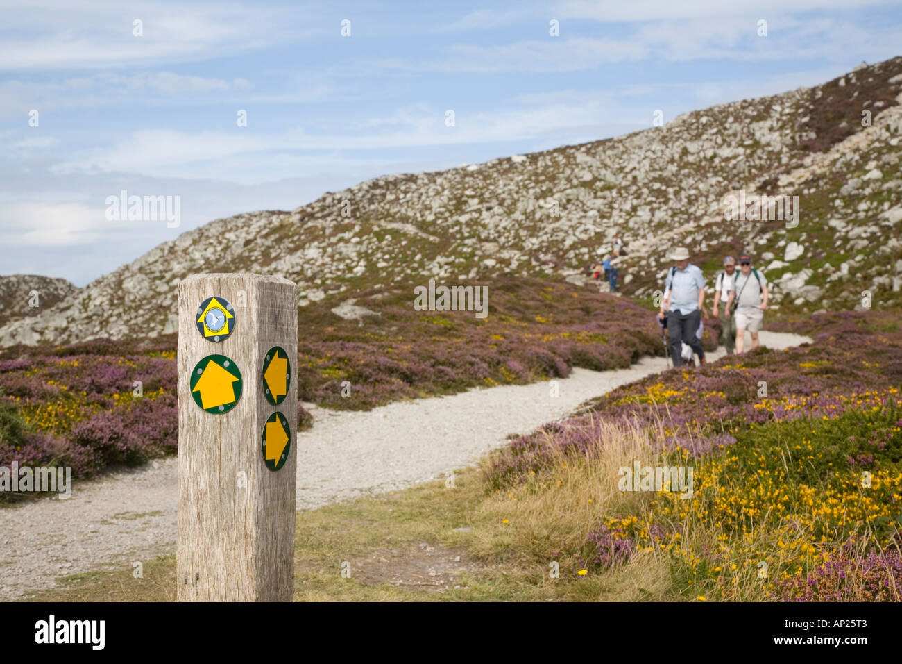 ISLE of ANGLESEY COASTAL PATH and signpost with yellow arrows with walkers in summer on Holyhead Mountain Anglesey Wales UK Stock Photo