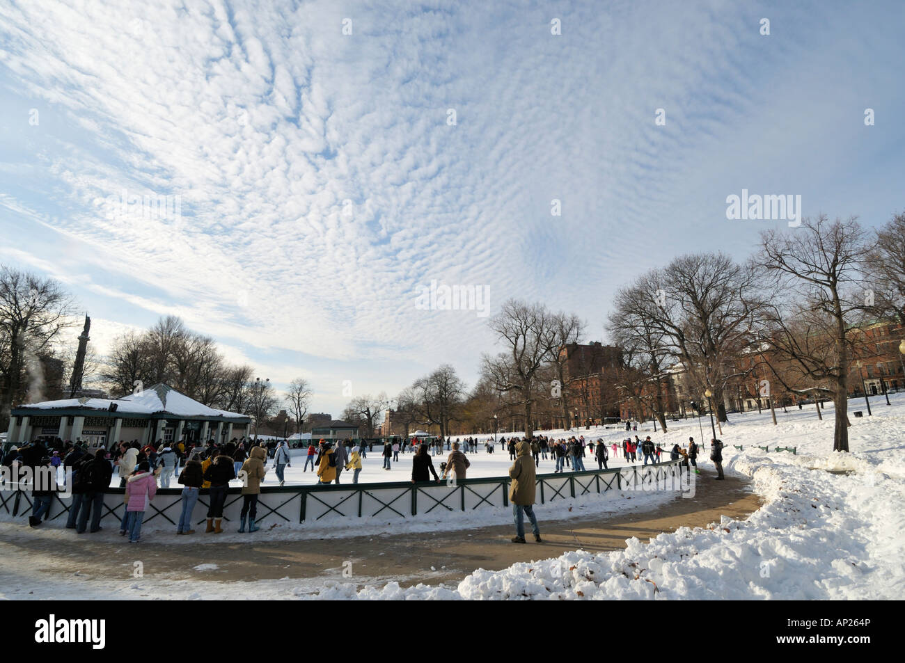 Ice Skating on Frog Pond, Boston Common MA Stock Photo Alamy