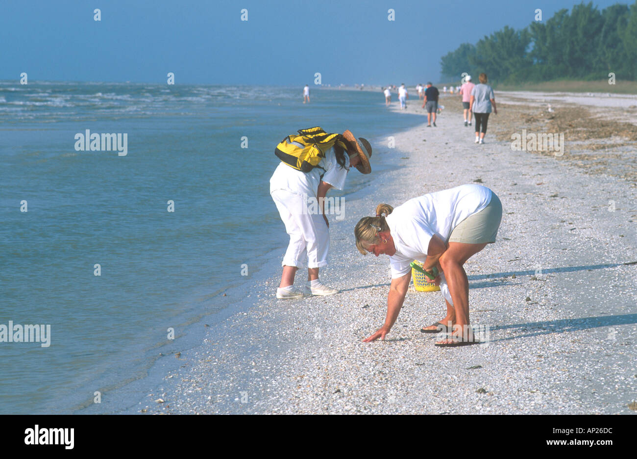 Picking up shells on beach hi-res stock photography and images - Alamy