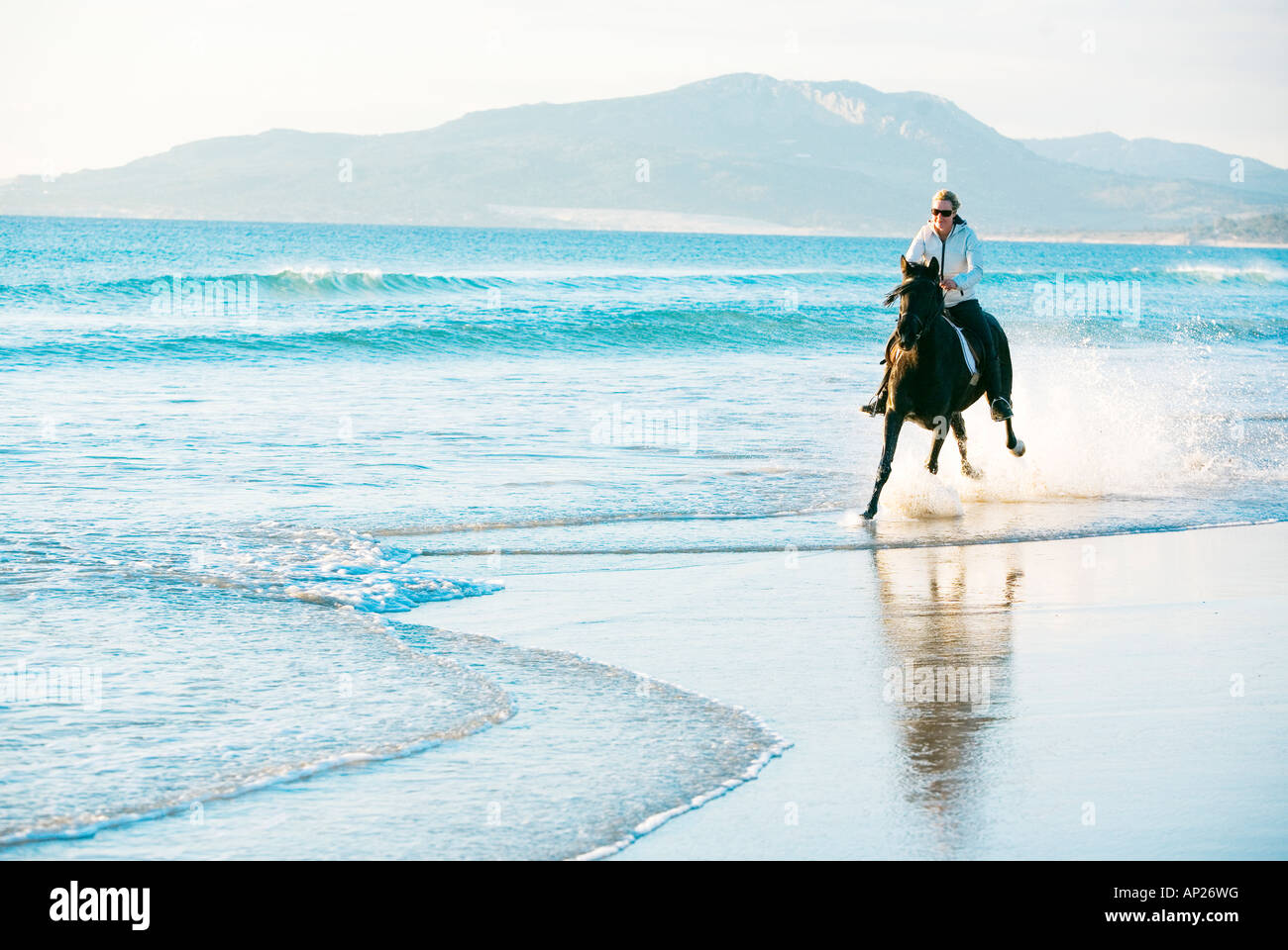 young woman galloping on a horse on the sea shore Stock Photo