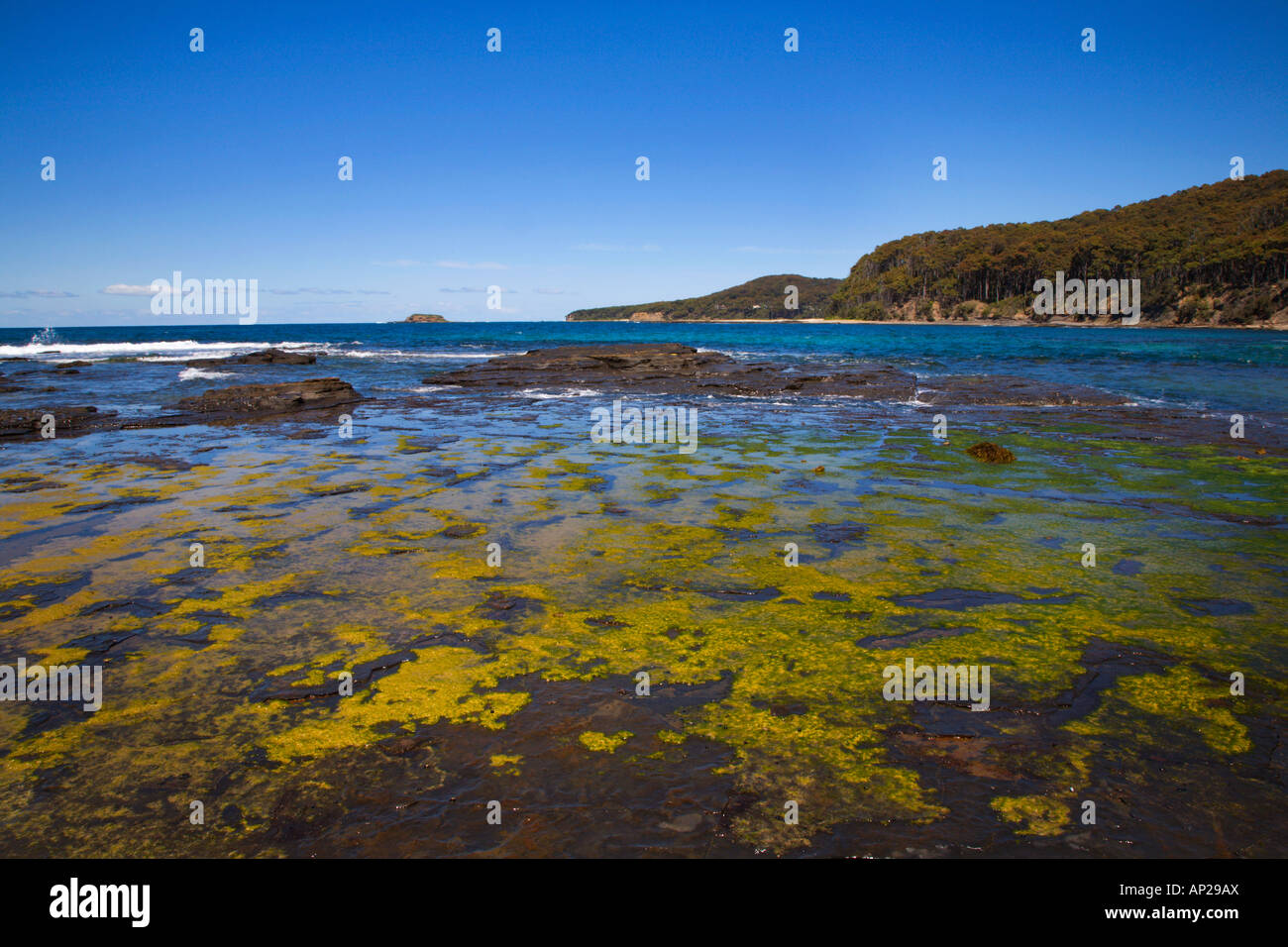 pebbly beach new south wales