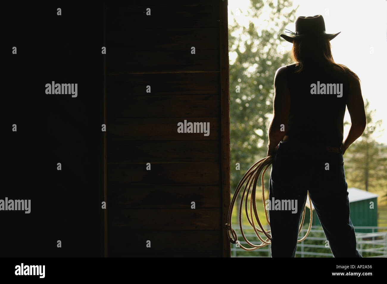 Silhouette of a cowgirl Stock Photo - Alamy, image size:1300x954