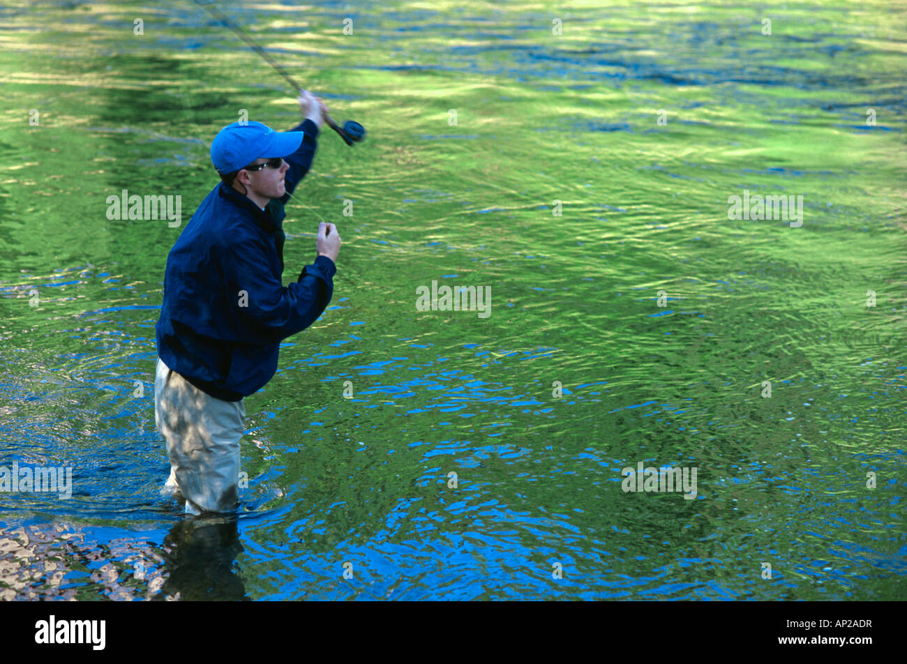Man fly fishing the Elk river near Steamboat Springs in Routt County Colorado USA Stock Photo