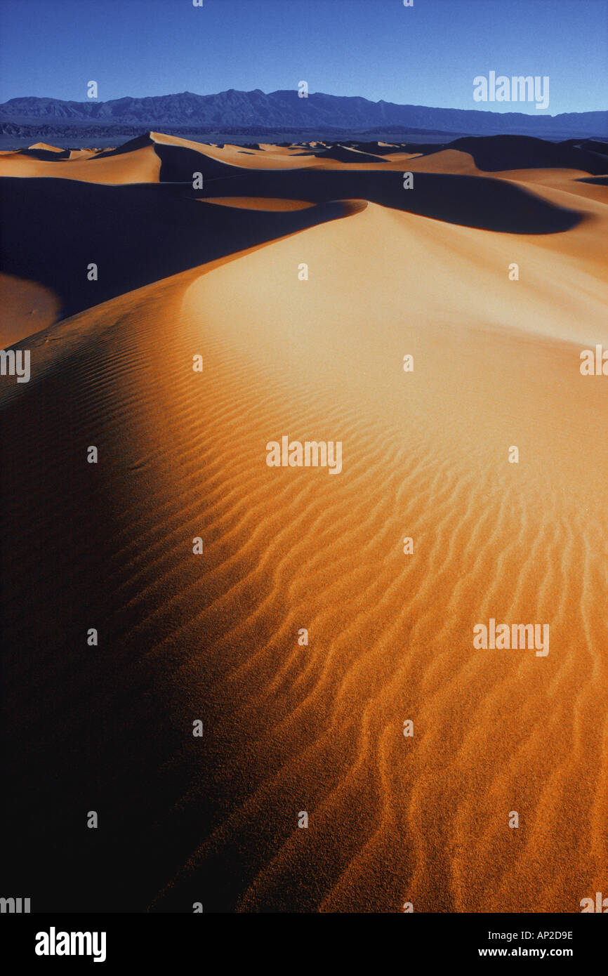 Dessert Ripples Ripples in desert sand Stock Photo - Alamy