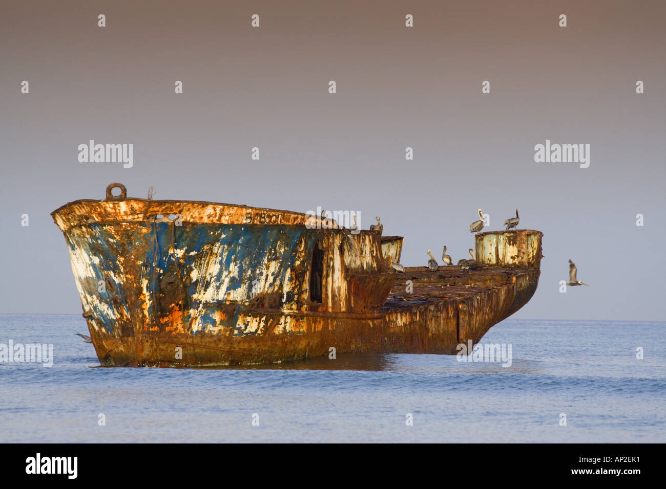 Rusting ship hull grounded in Aruba waters near Hadicurari beach Stock Photo