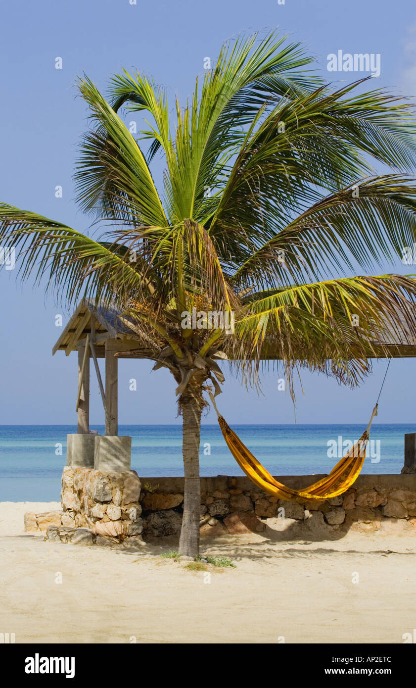 Aruba, Shade hut and Palm tree with hammock on Hadicurari Beach Stock Photo