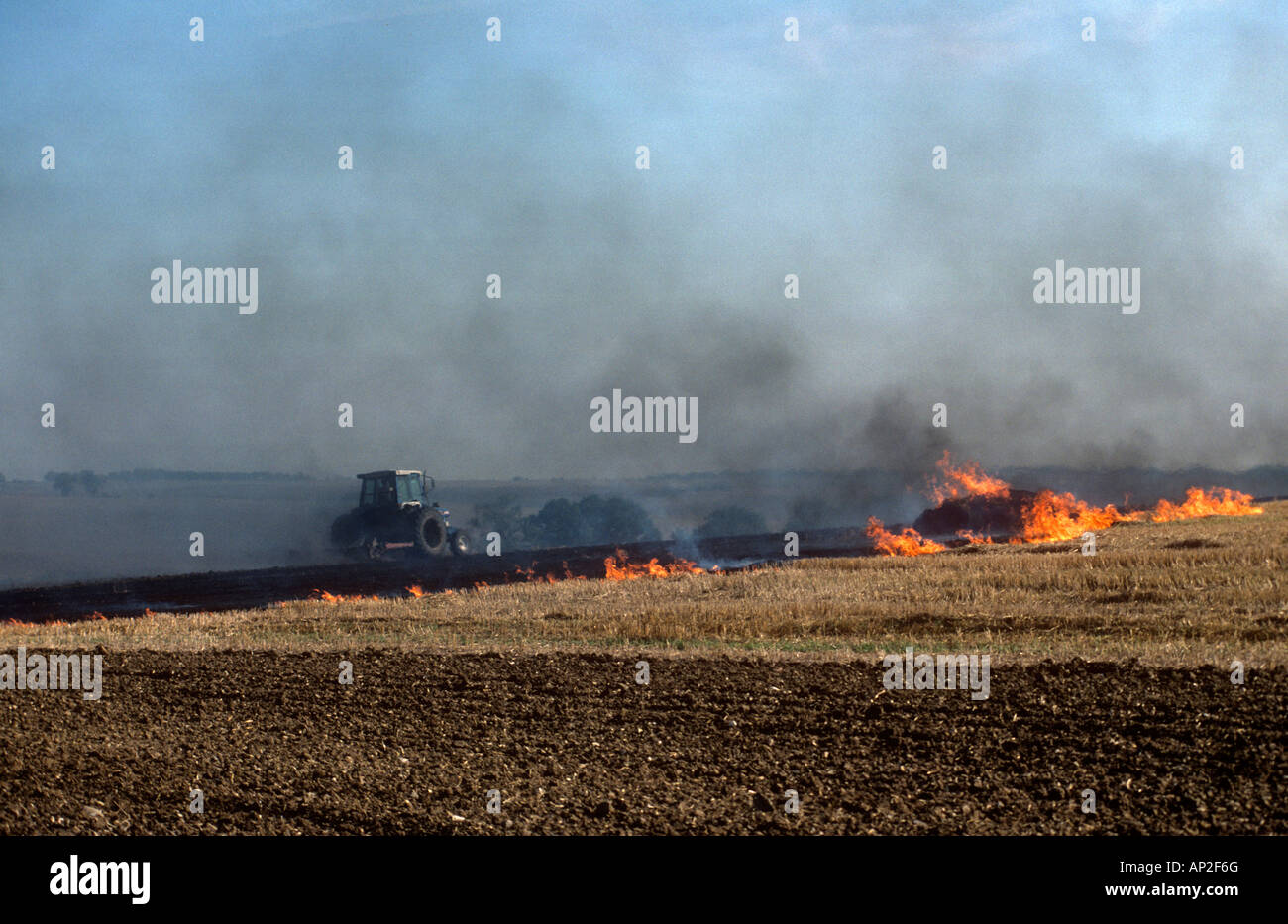 Farmer burning off stubble Stock Photo Alamy