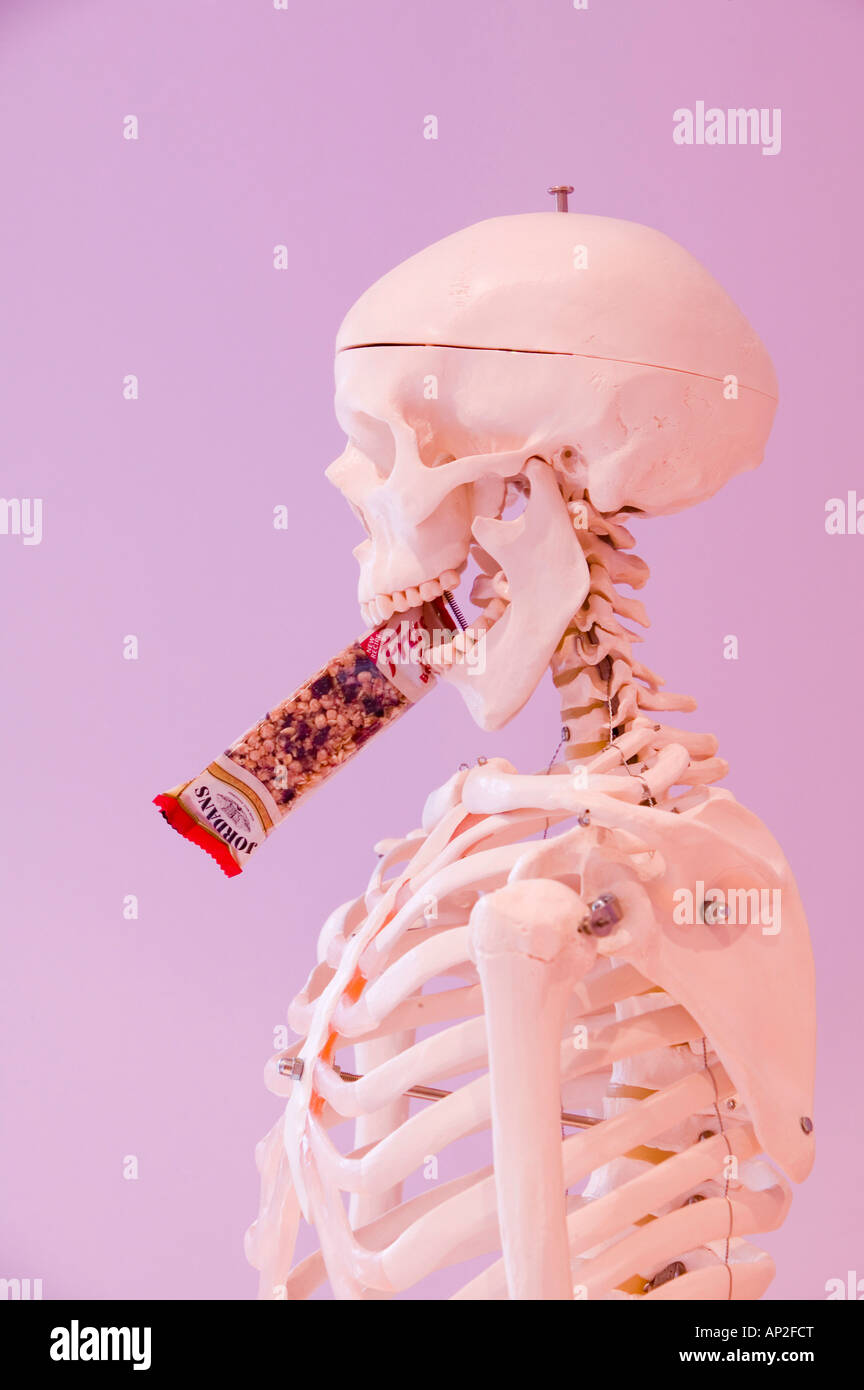A human skeleton eating a biscuit Stock Photo