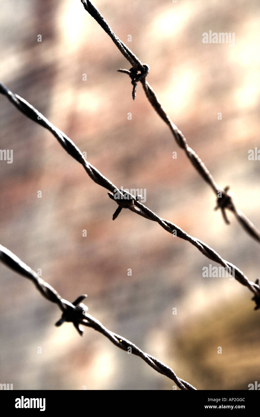 barbed wire with brick wall in background Stock Photo - Alamy