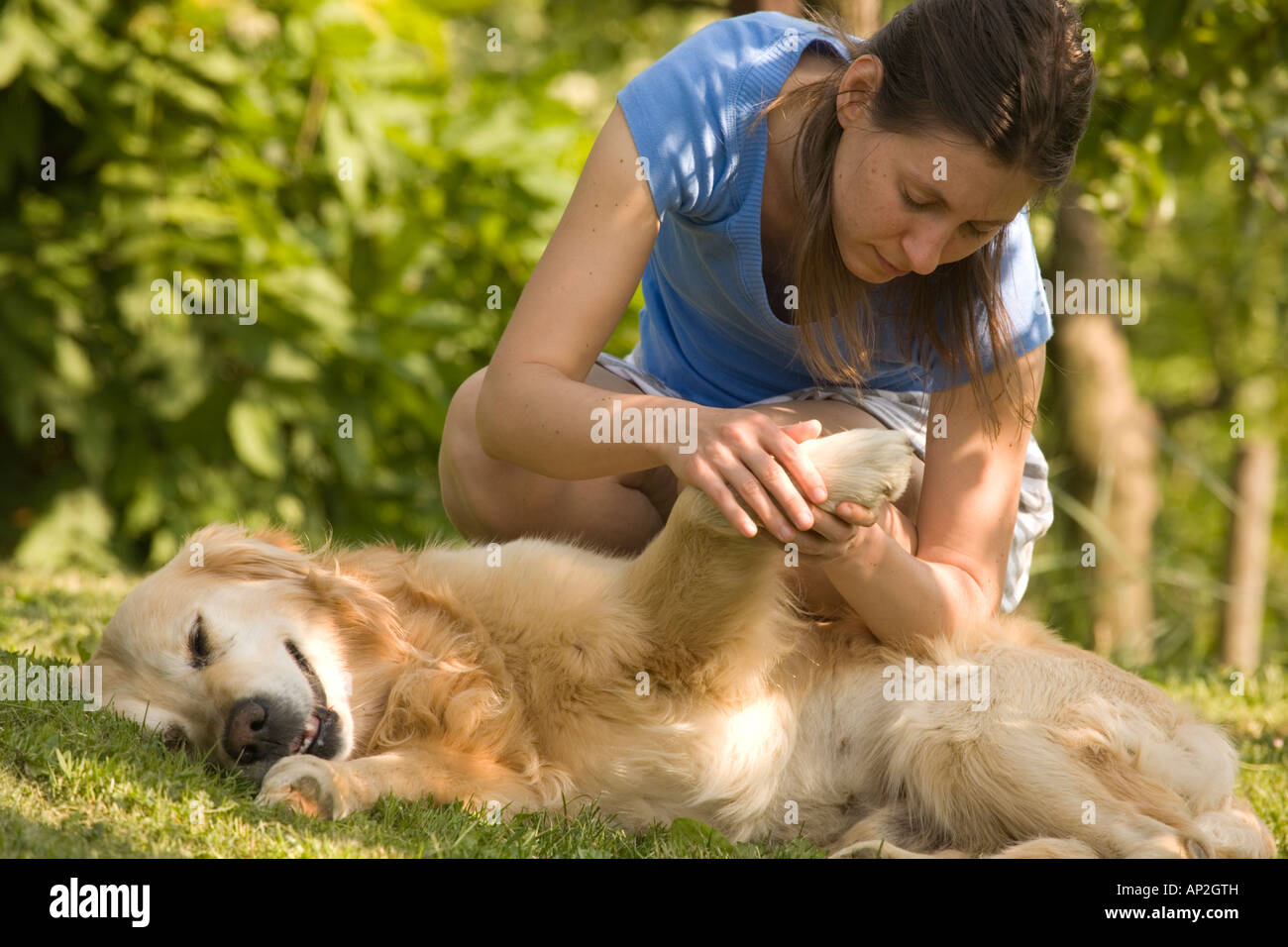 Girl petting golden retriever Slovenia Stock Photo - Alamy