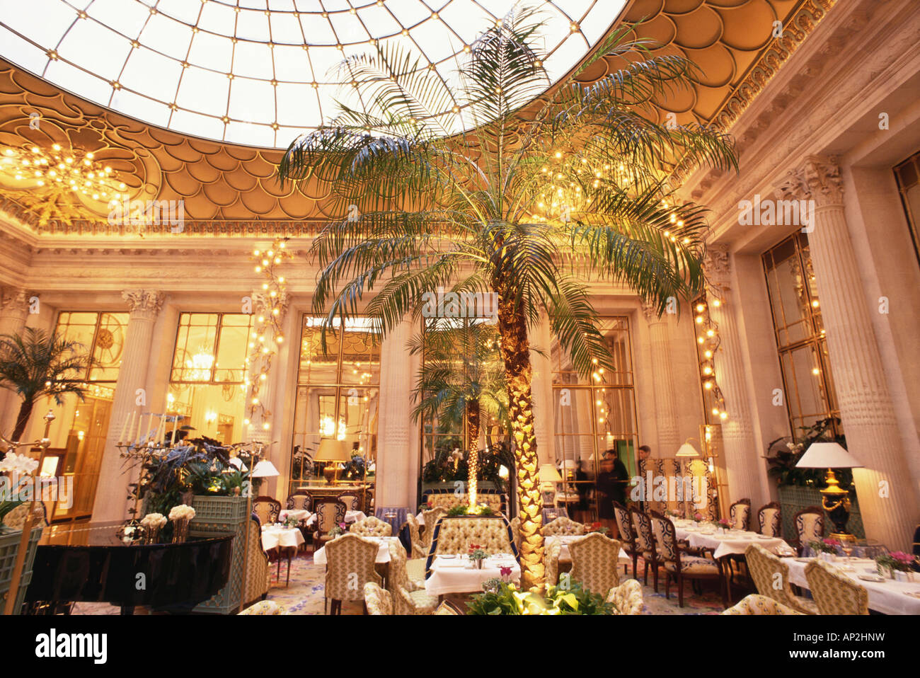 Winter garden, conservatory with glass roof in luxury Hotel Le Meurice, Accomodation, Paris, France Stock Photo