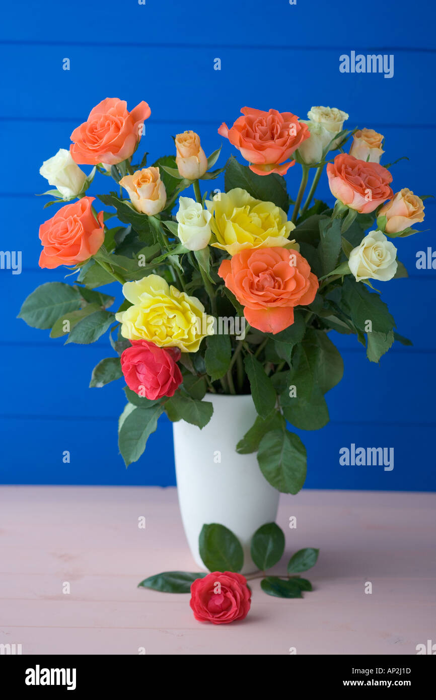 Rose Arrangement on Blue Background Stock Photo