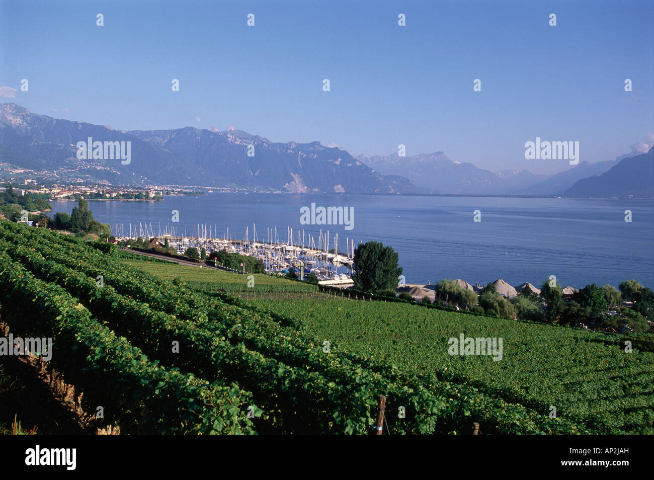 View towards Vevey with Lake Geneva and vineyard, Switzerland Stock Photo