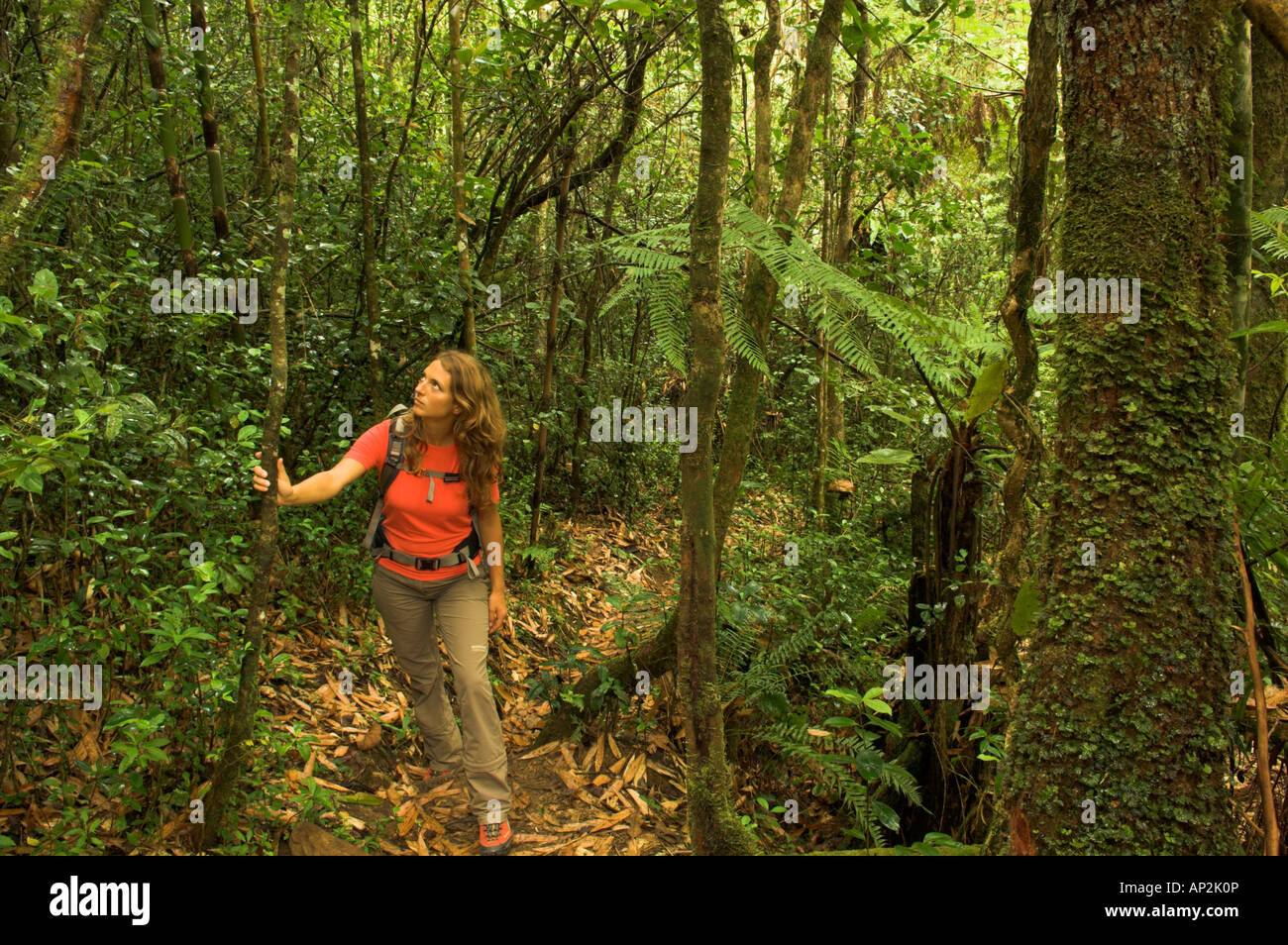 A woman hiking through woods in Madagascar, Africa Stock Photo Alamy
