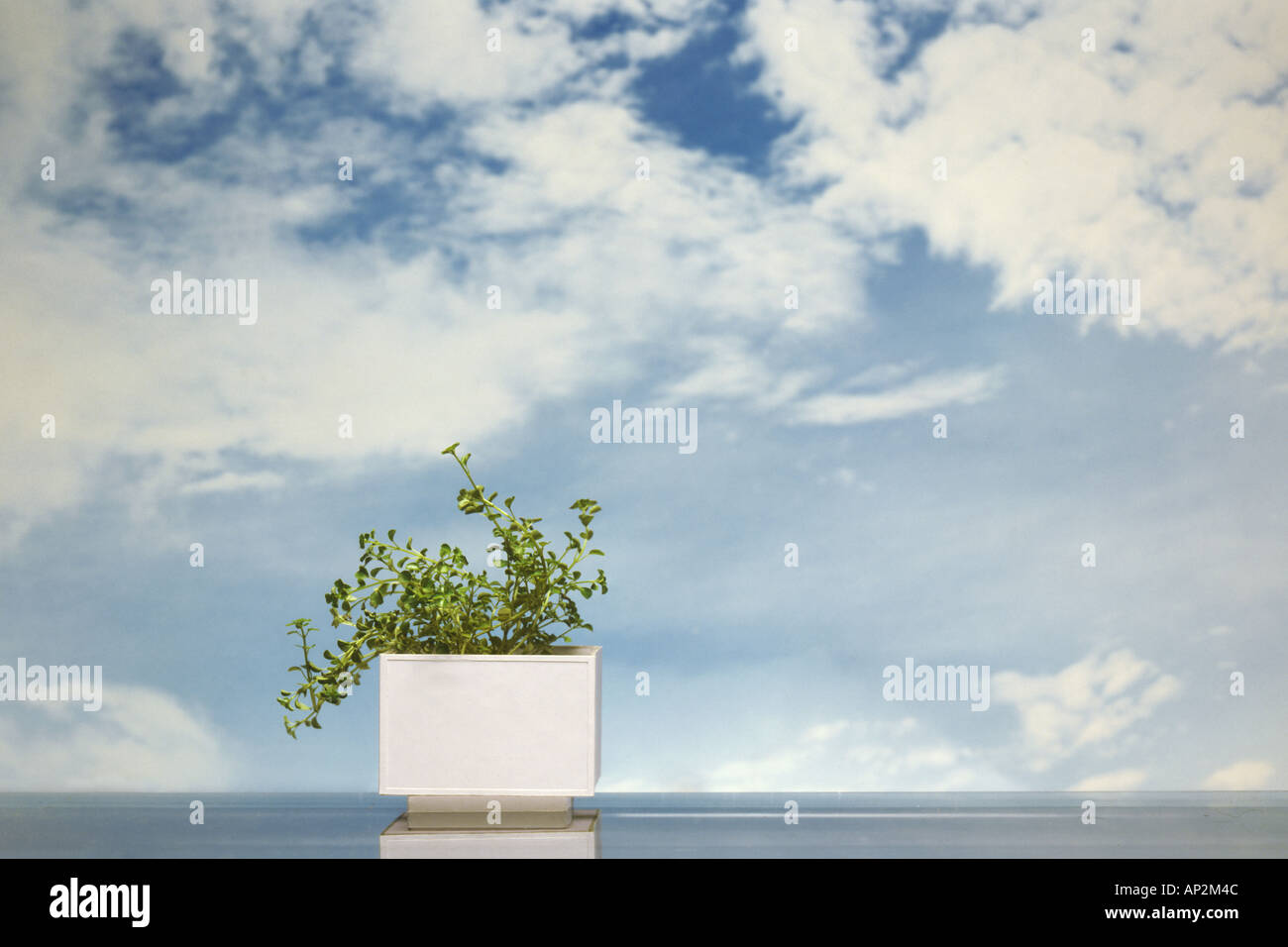 AAD72393 Concept Nature Tabletop Stock Photo