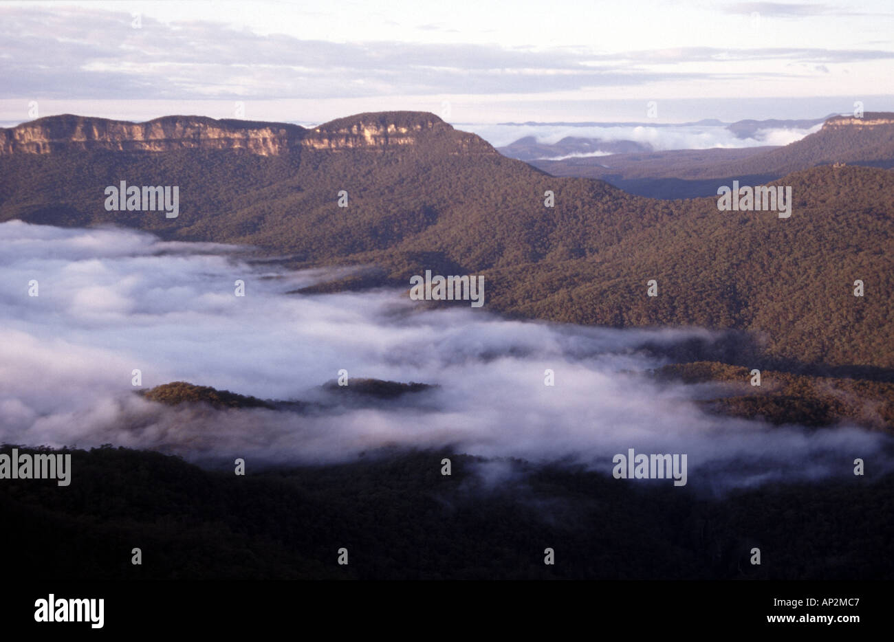 Blue cloaks hi-res stock photography and images - Alamy