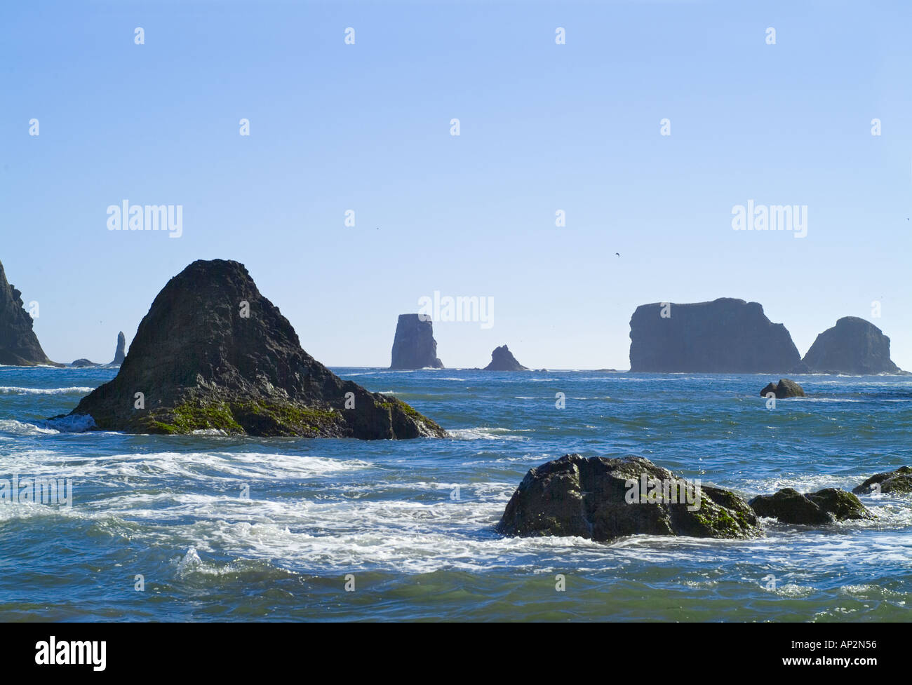Olympic national park second beach
