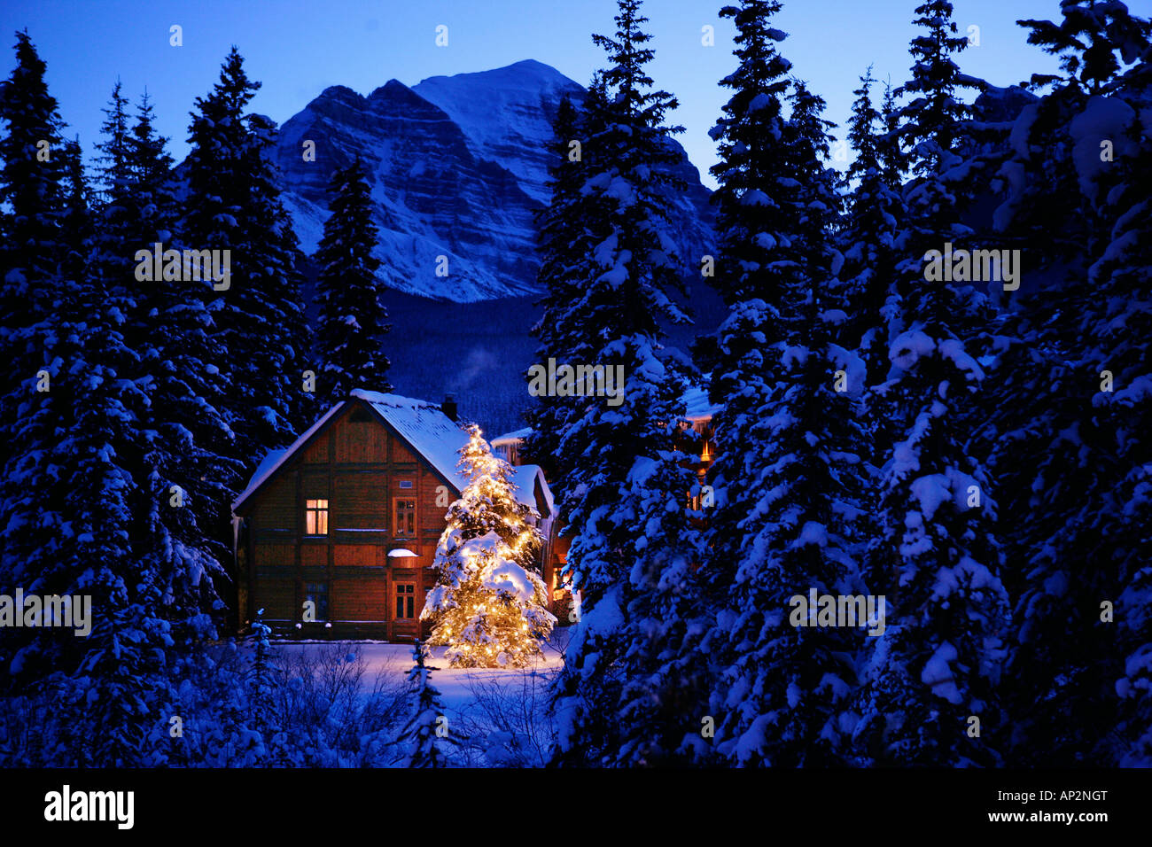 Snow covered log house and Christmas Tree, Post hotel, lake louise