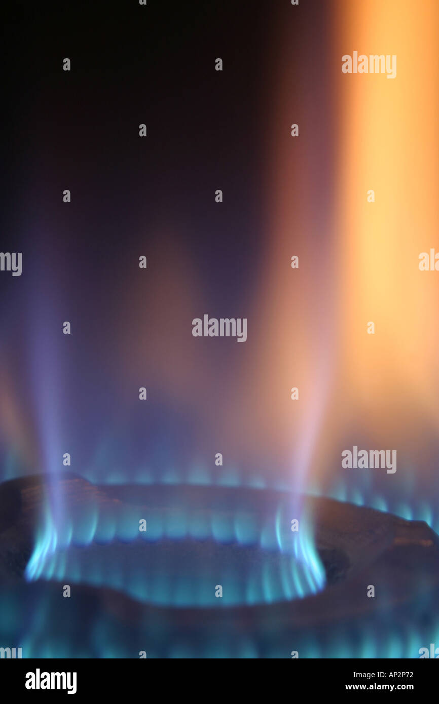 Flame bluish colour of LPG household gas of cooking range Stock Photo