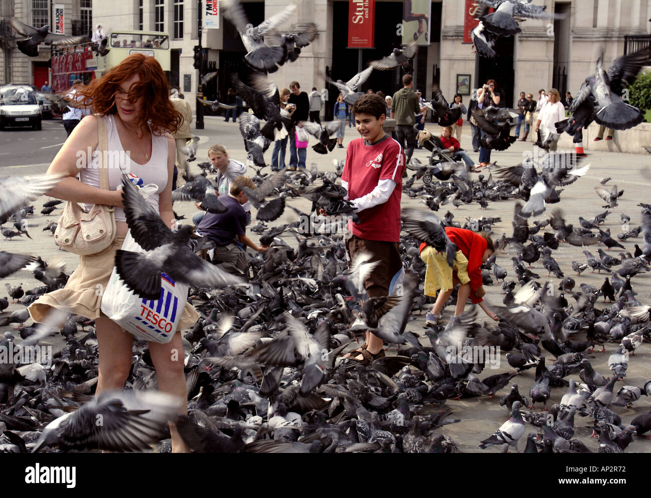 A woman feeds pidgeons in trafalgar square london Stock Photo