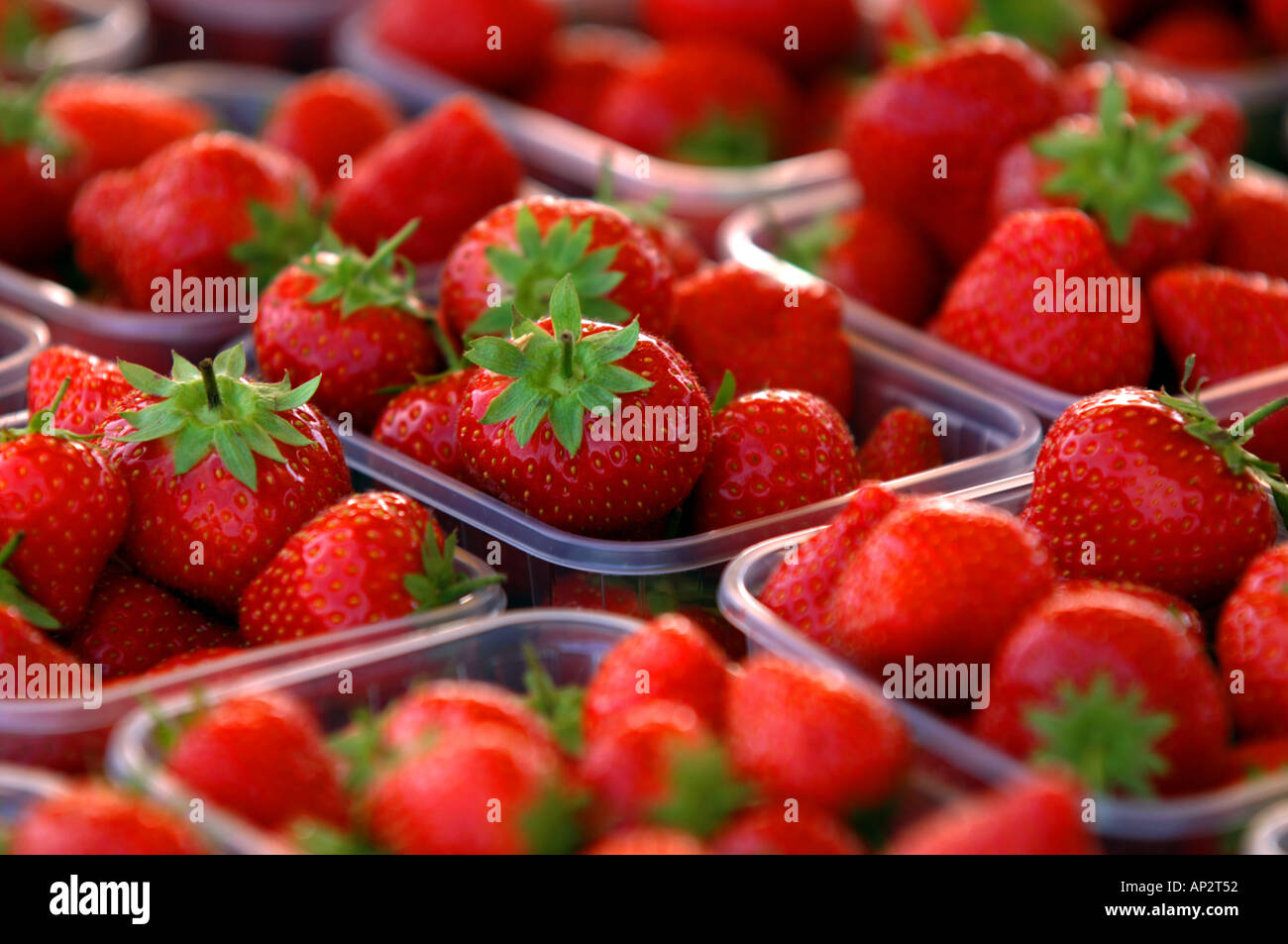 English strawberries for sale at a market stall Stock Photo Alamy