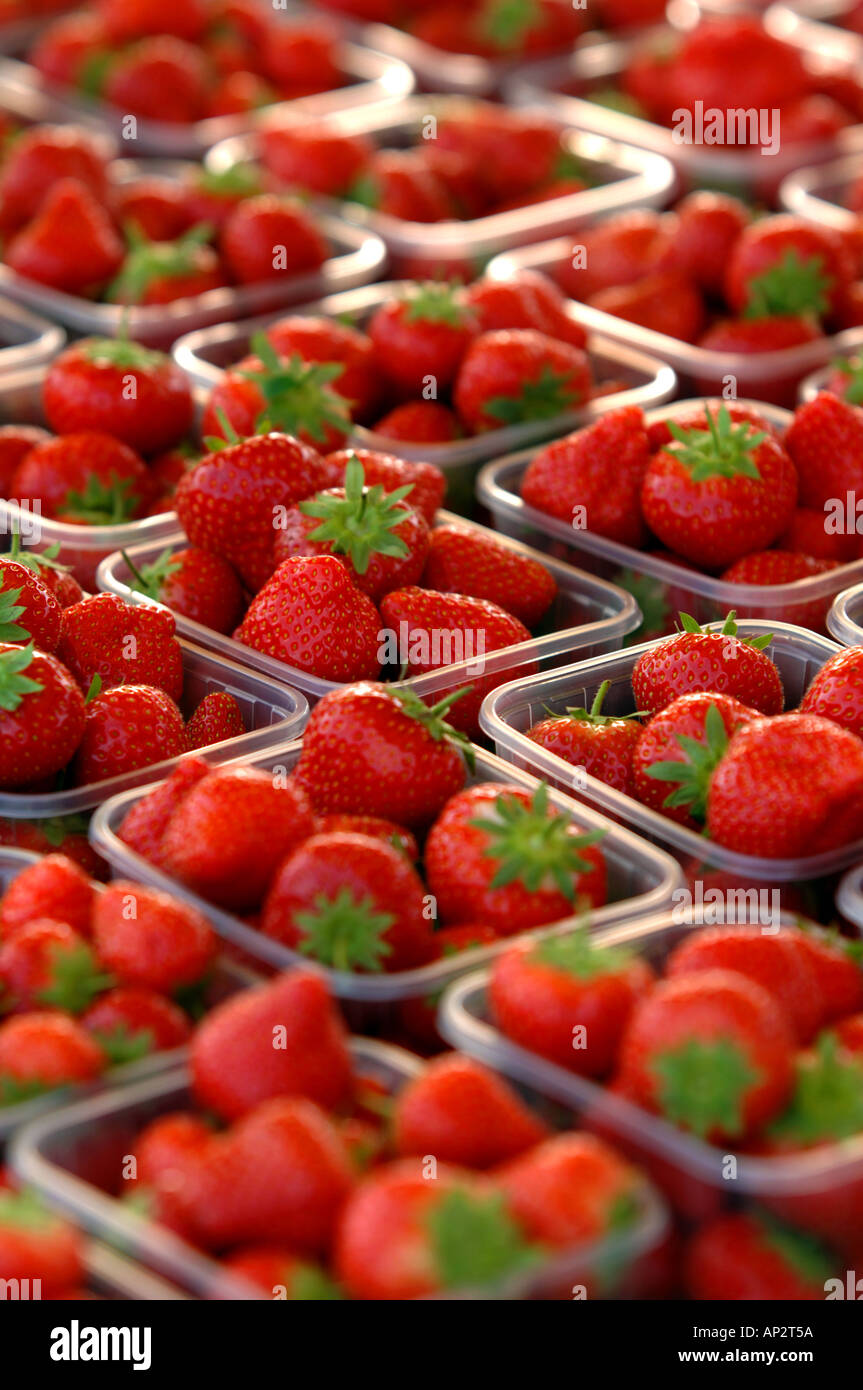 English strawberries for sale at a market stall Stock Photo Alamy