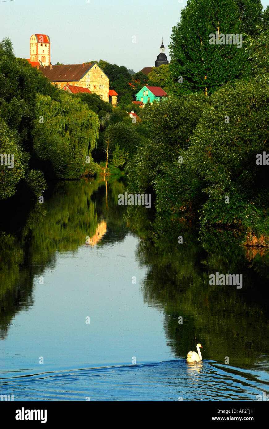 Tranquill river Werra with swan near Breitungen, Thuringia, Germany Stock Photo