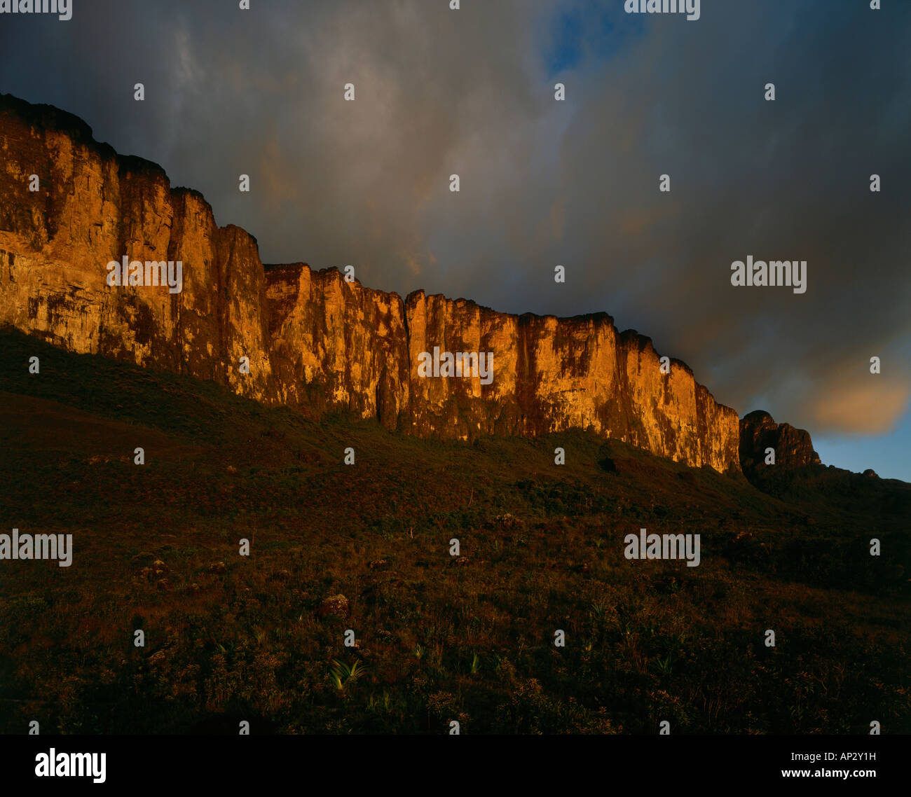 Steep rock face of Roraima Tepui, Canaima National Park, La Gran Sabana, Venezuela, America Stock Photo