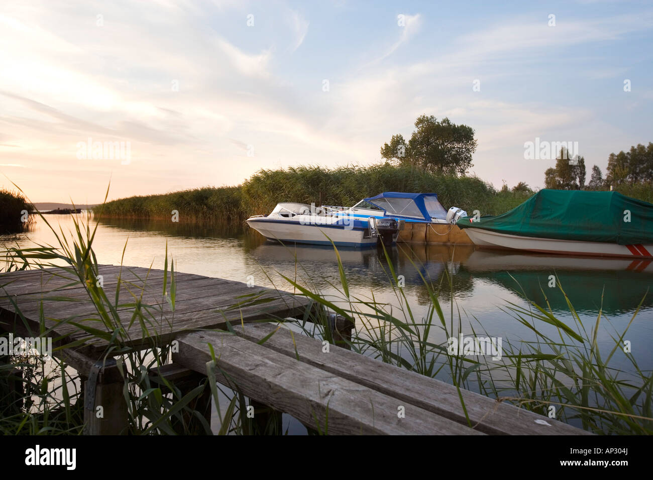 Backwater, Lieper Winkel, Usedom, Baltic Sea, Mecklenburg-Western Pomerania, Germany Stock Photo