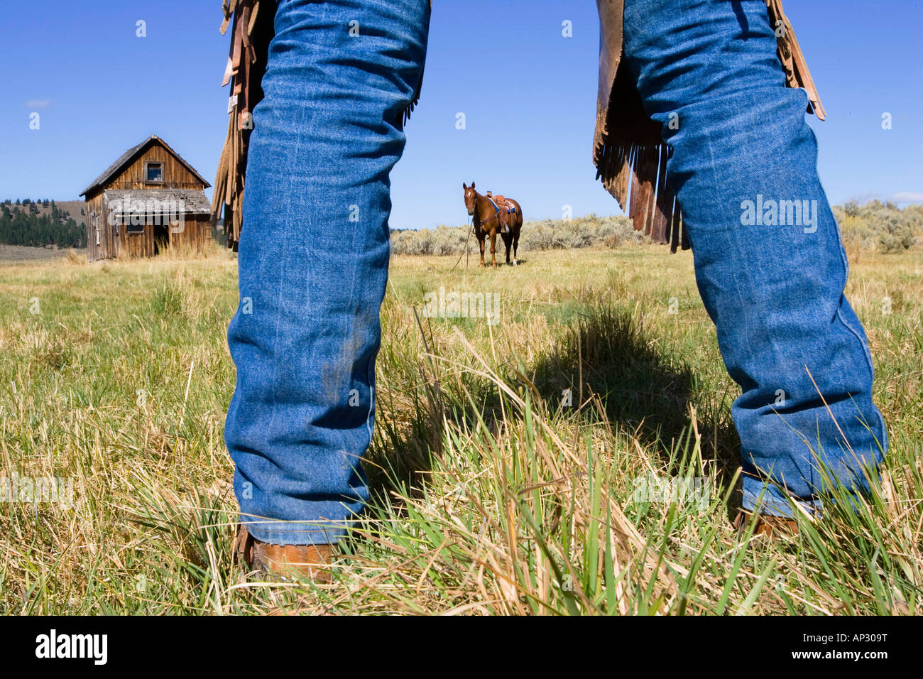 Cowboy boots, horse and barn, wildwest, Oregon, USA Stock Photo Alamy